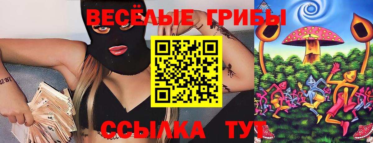 Бугуруслан  Галлюциногенные грибы Psilocybe  Вход с VPN 